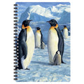 Antarctic Majesty. Ruled 8.2" x 5.7" Medium Notepad. 80 Page Spiral Bound Notebook, Lenticular Penguin Cover.