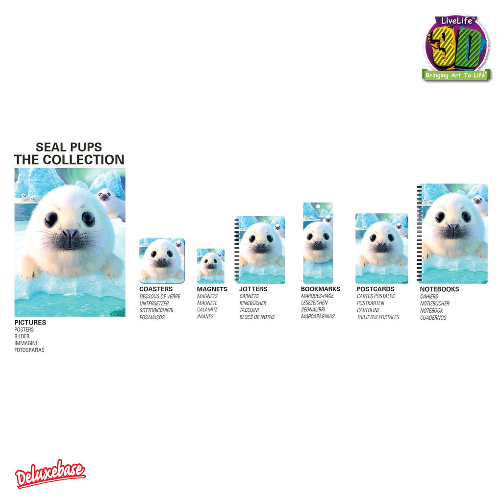3D LiveLife Jotter - Seal Pups from Deluxebase. Spiral Bound A6 5.5x4in Small Animal Notebook, 80 Plain Recycled Pages, Ocean Cover. - Image 4
