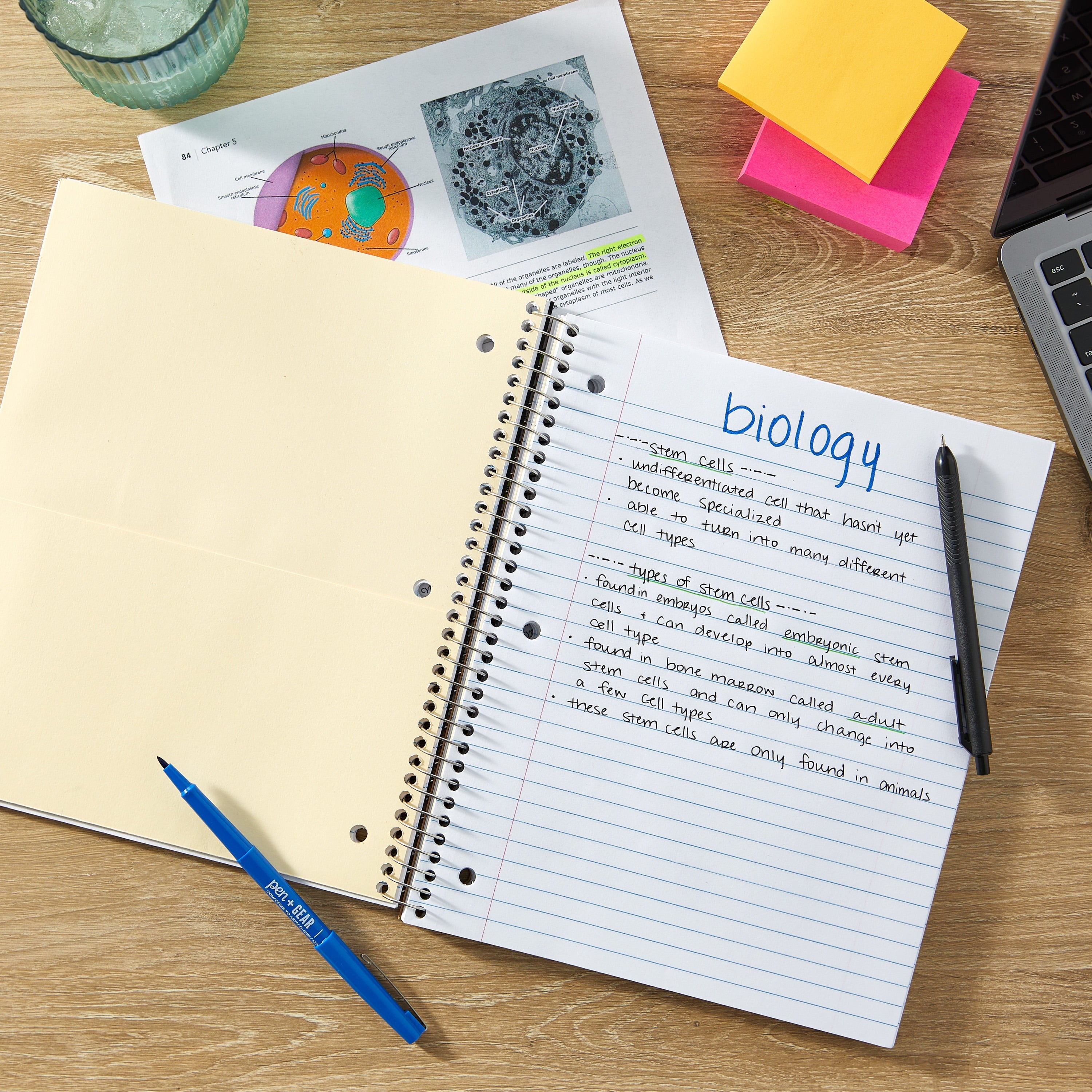 (2 pack) Wide Ruled 3-Subject Poly Notebook, Black, 8.5" x 10.5", 120 Sheets - Image 3