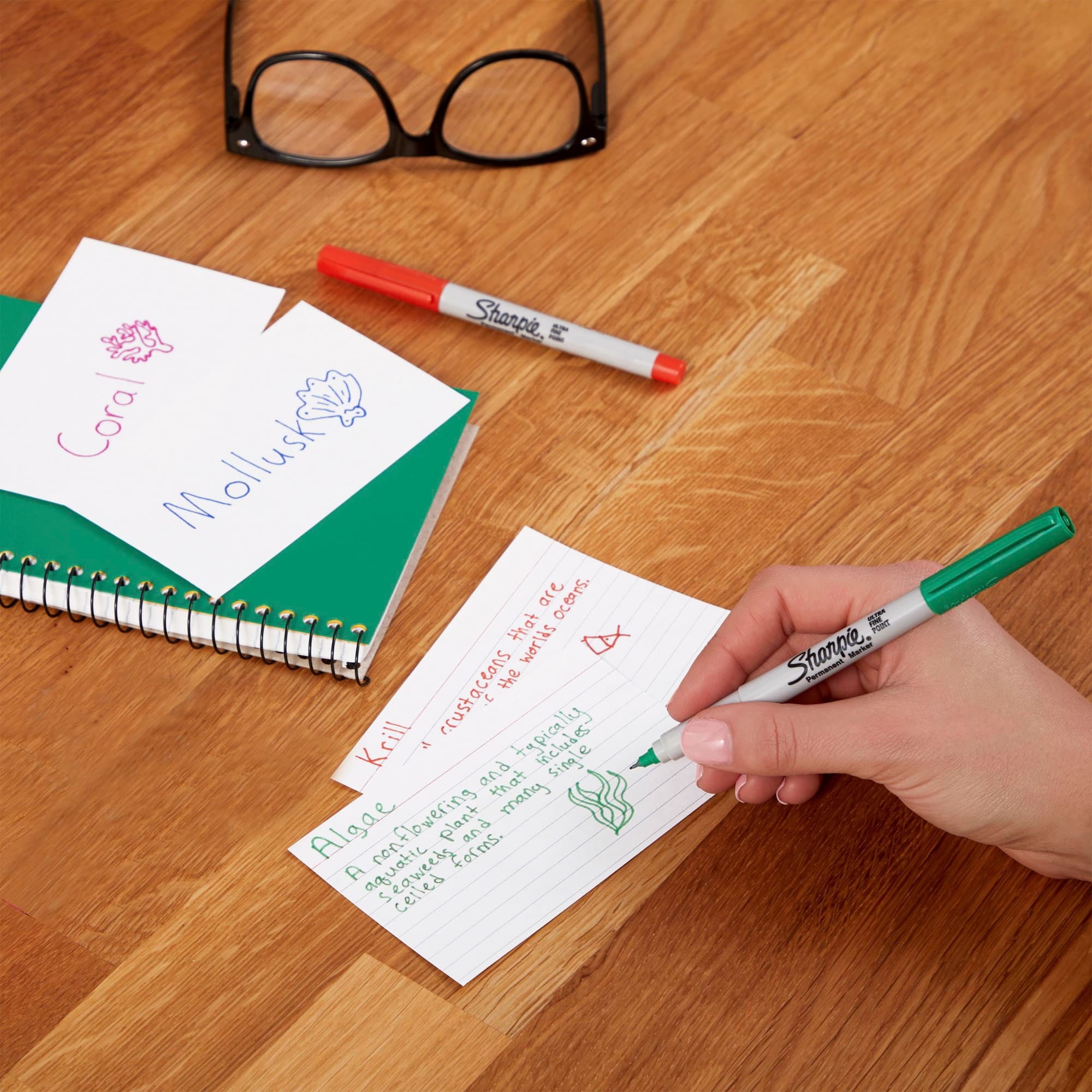Permanent Markers Limited Edition Set, Contains Fine Point Markers and Ultra-Fine Point Markers, 60 Count - Image 5