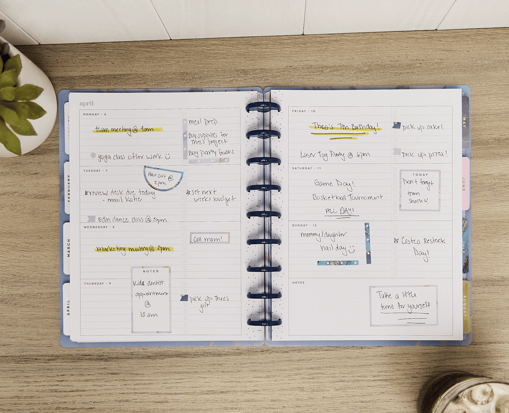 Monthly Weekly Classic PlannerJan- December 2026 Ethereal Elements, 2 Sticker Sheets Included, Disc Bound - Image 3